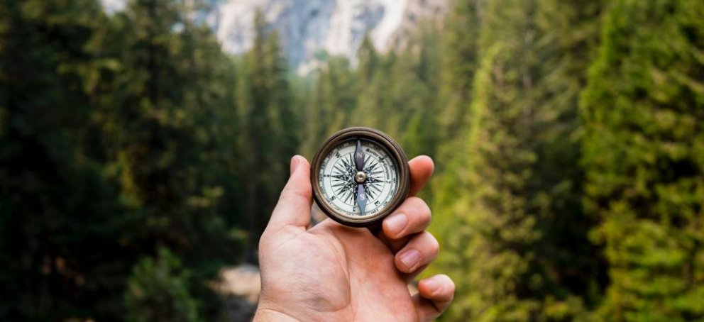 A hand holds a compass with a view of tall trees and mountains in the background