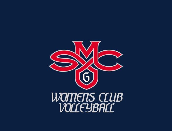 womens club volleyball logo 